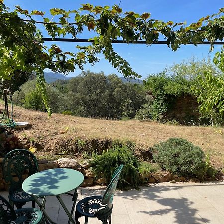 Cottage Les Marjoris Tanneron المظهر الخارجي الصورة